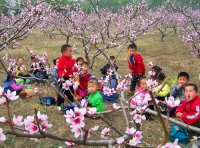 春游桃花園